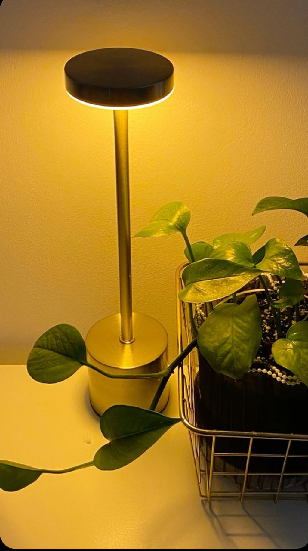 ✨ Aesthetic Metal LED Touch Lamp | Rechargeable & Touch Control